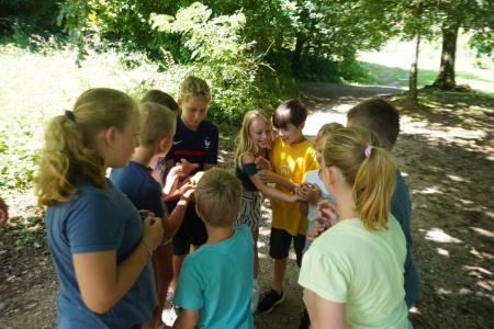 sola-digitalne-kreativnosti (5)